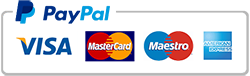 PayPal logo